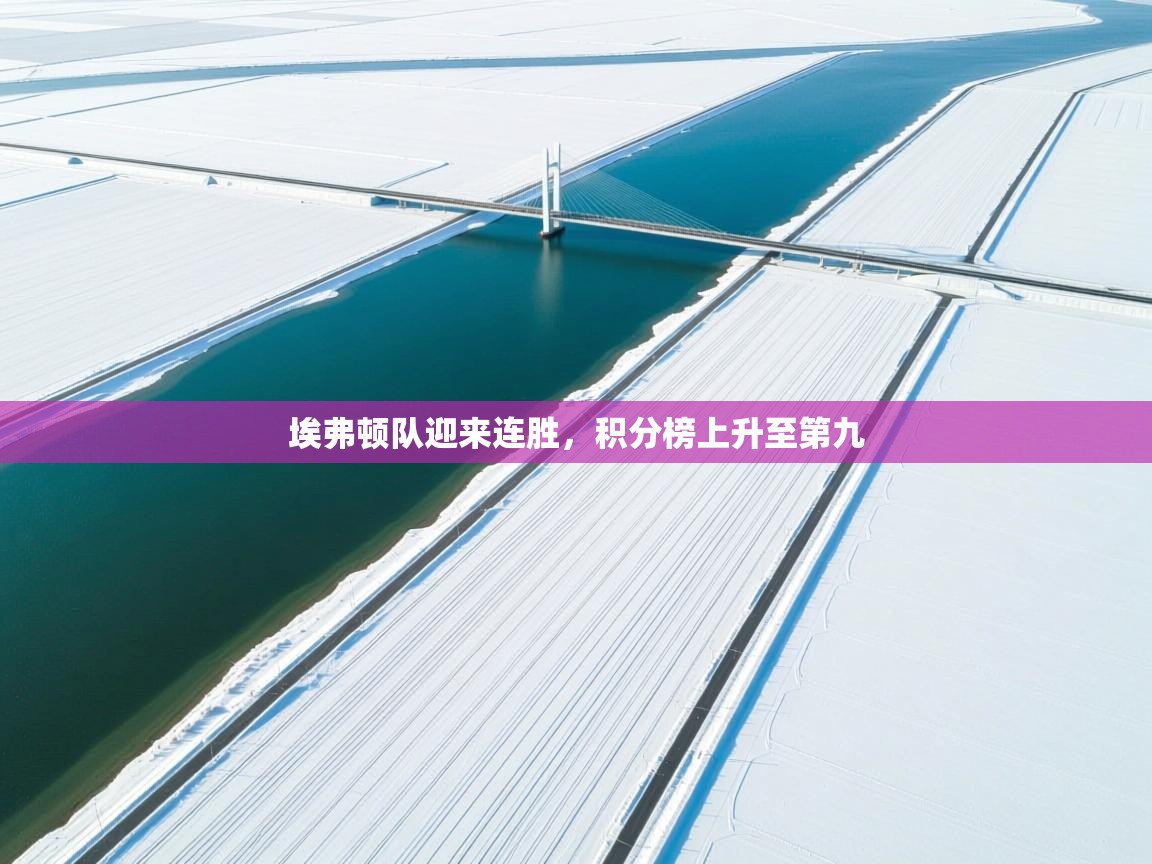 开云体育app官网入口网页版-埃弗顿队迎来连胜,积分榜上升至第九 第3张