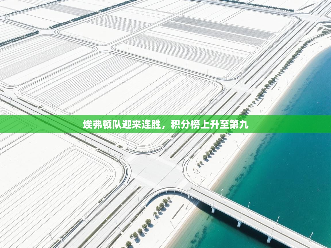 开云体育app官网入口网页版-埃弗顿队迎来连胜,积分榜上升至第九 第4张