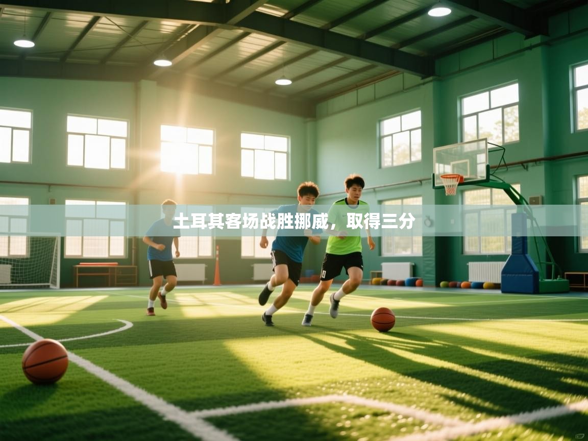 开云体育数据中心统计-土耳其客场战胜挪威，取得三分  第2张