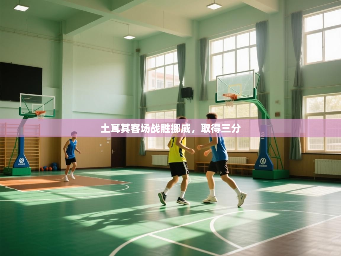 开云体育数据中心统计-土耳其客场战胜挪威，取得三分  第3张