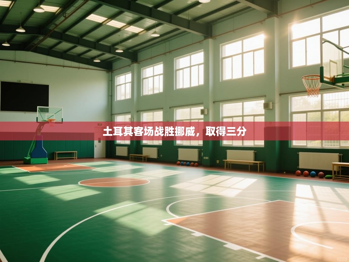 开云体育数据中心统计-土耳其客场战胜挪威，取得三分  第4张